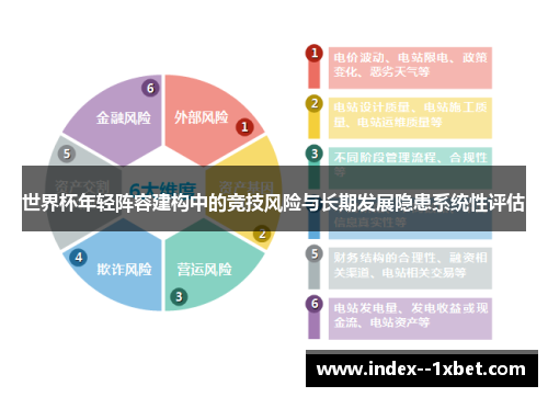 世界杯年轻阵容建构中的竞技风险与长期发展隐患系统性评估